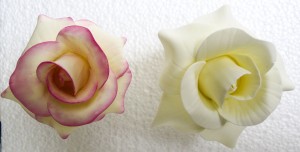 Figure G- Rose dusted with pink petal dust (left) in comparison to plain ivory rose(right)
